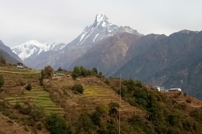 Poon Hill Trek - Trek Difficulty