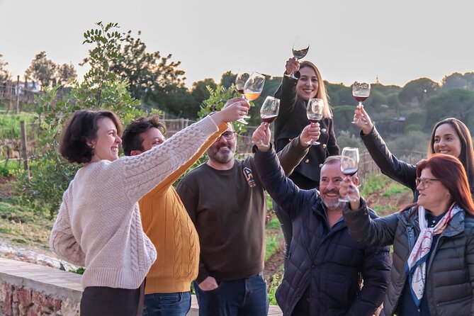 Porches Algarve Vineyard Tour and Wine Tasting Experience - Accessibility and Traveler Restrictions