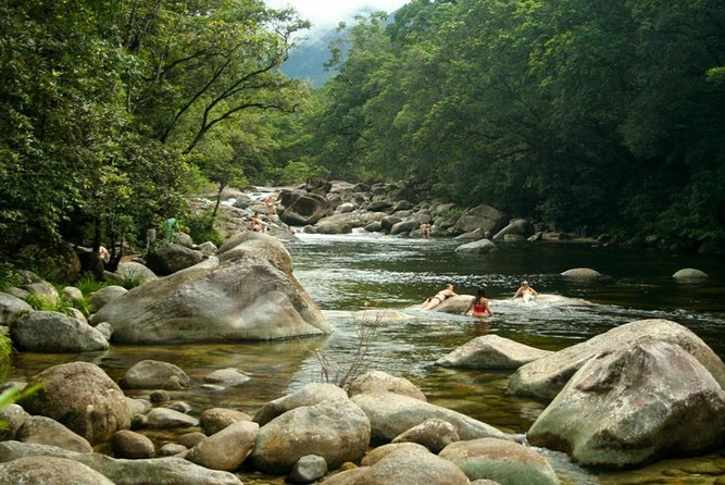Port Douglas Daintree National Park Boutique Full-Day Tour