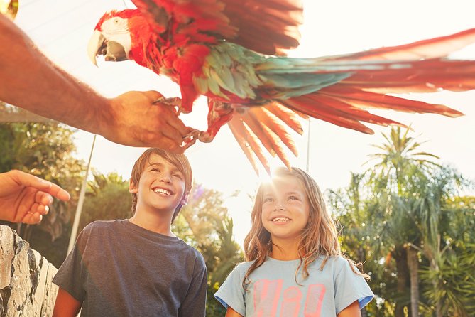 Portaventura Park Day Trip From Barcelona - Good To Know