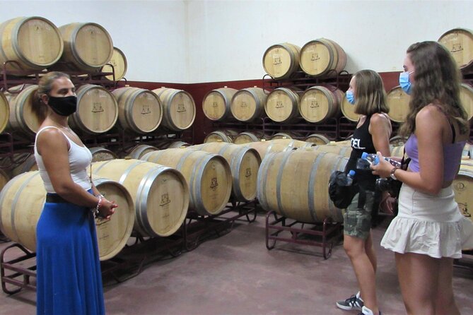 Portimão and Lagoa: Algarve Wine Tour in a VW T2 Van - Good To Know