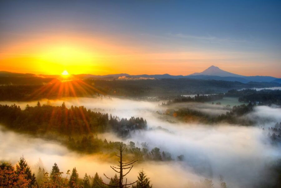 Portland: Flightseeing Tour Mount Hood - Good To Know