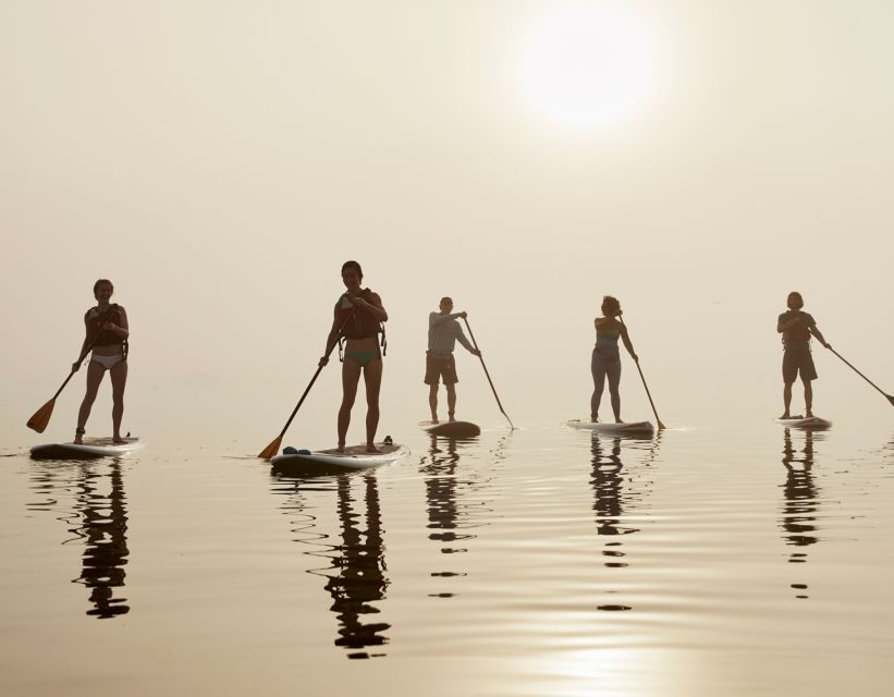 Portland, ME: Guided Harbor Paddleboard Tour - Good To Know