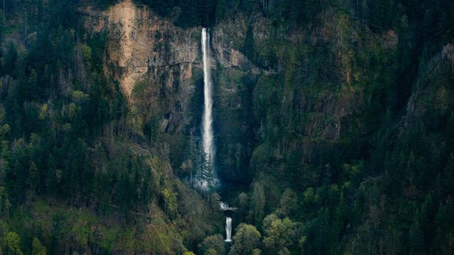 Portland: Private Multnomah Falls Tour - Good To Know