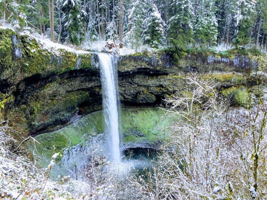 Portland: Silver Falls Hike and Wine Tour - Good To Know