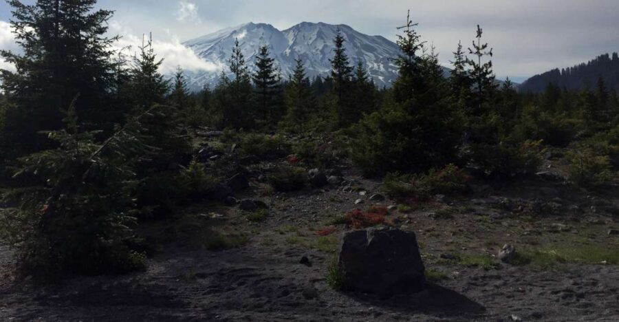 Portland: The Mt. St. Helens Adventure Tour