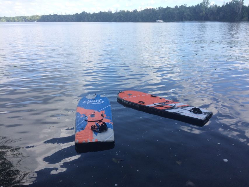 Potsdam: E-Surfboard Rental
