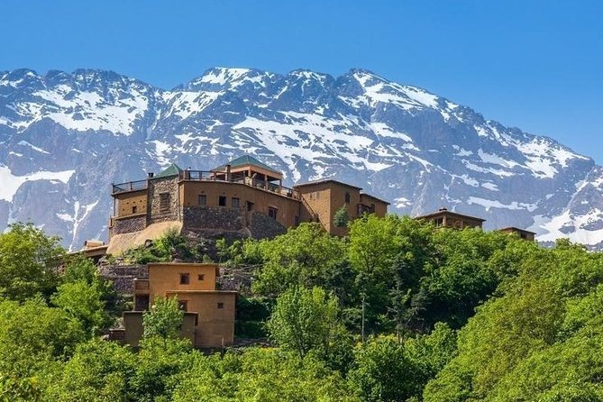 Premium Atlas Mountains Day Trip With Camel Ride Experience - Pricing and Booking Information