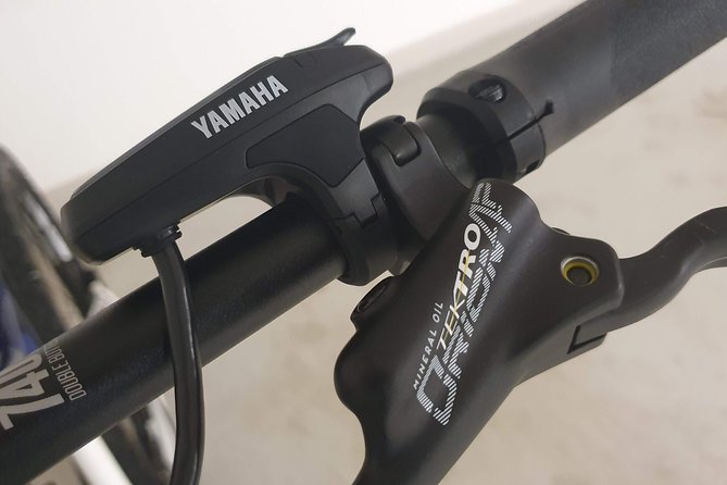Premium Ebike Rental