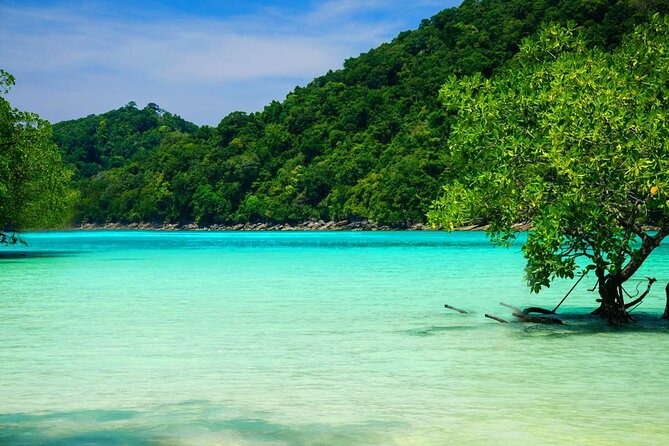 Premium Similan Island Day Trip With Lunch and Transfer Pick up - Pricing and Value