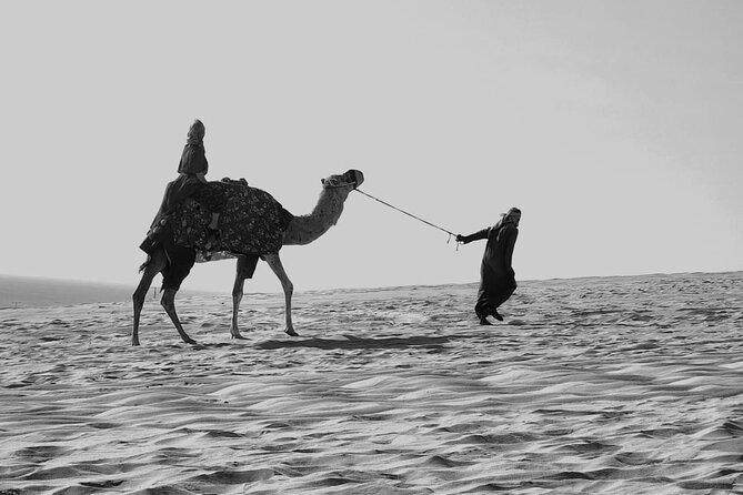 Premium Sunset Safari Tour From Doha: Sealine, Sand Dunes, and Beach