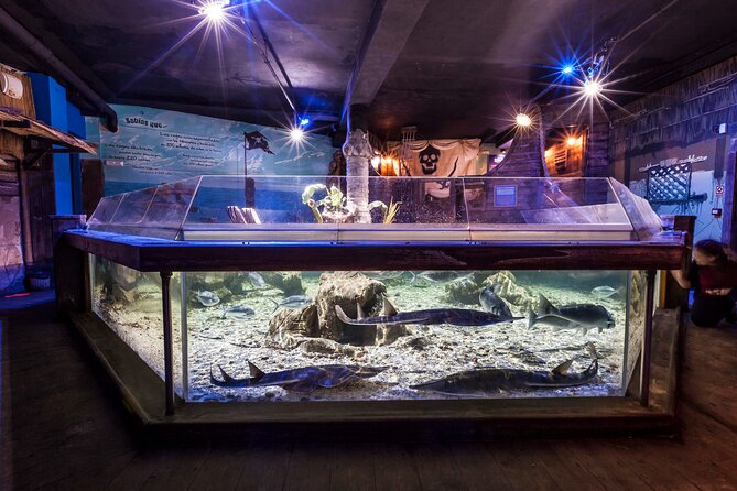 Premium Ticket Sea Life Benalmádena - Good To Know