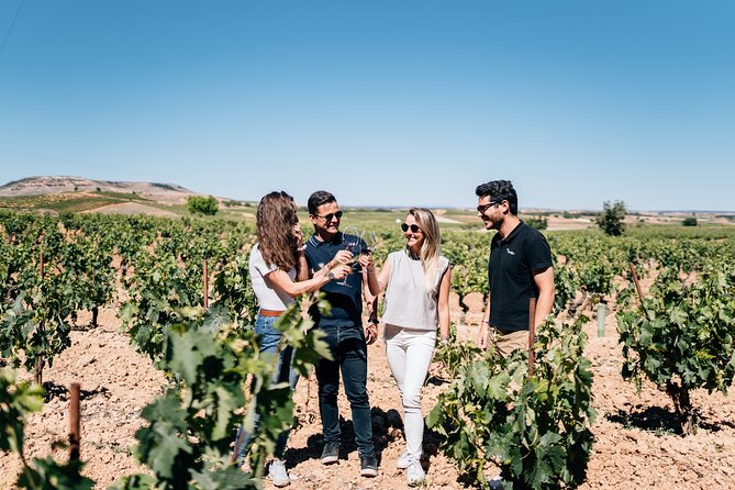 Premium Winery Day Tour: Two of the Best Ribera Del Dueros Wineries