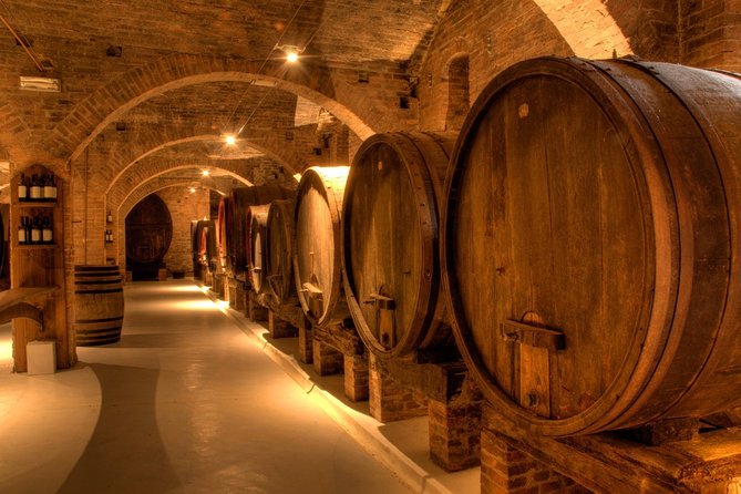 Primitivo and Negroamaro Wine Tour: a Visit to Two Wineries and Typical Lunch. From Lecce
