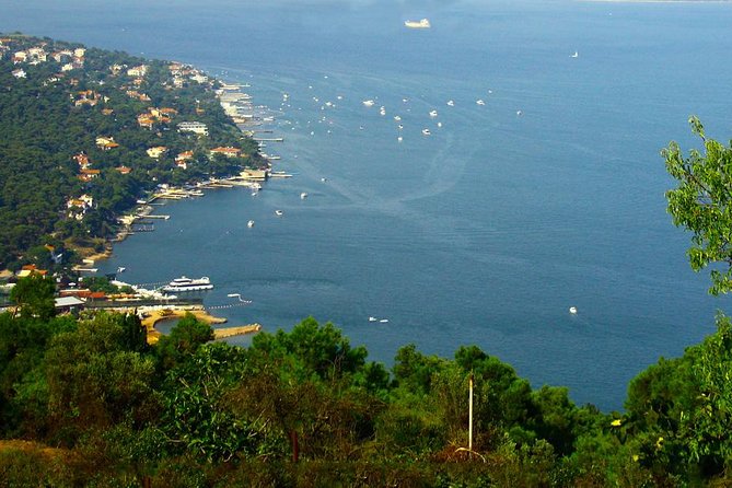 Princes Islands Tour From Istanbul - Good To Know