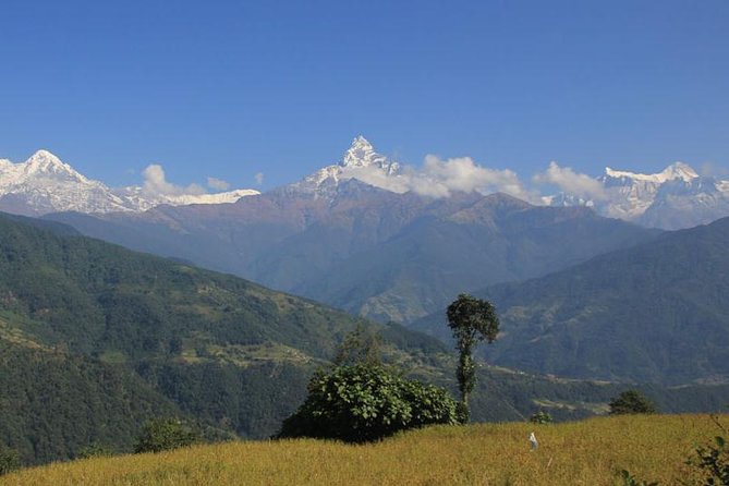 Private 11-Day Guided Trekking Tour: Annapurna Panorama  – Pokhara