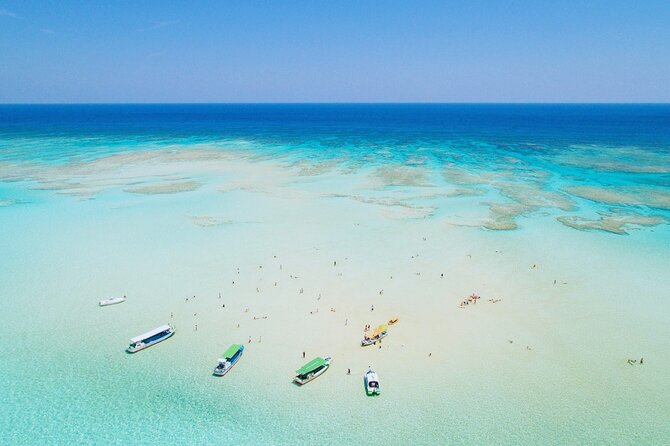 Private 3 Day Tour in Yoron Island - Good To Know