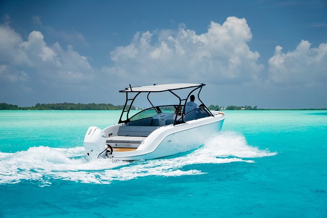 Private 4 Hours Reef Discovery Luxury Private Treasure Hunt in Bora Bora - Tour Highlights