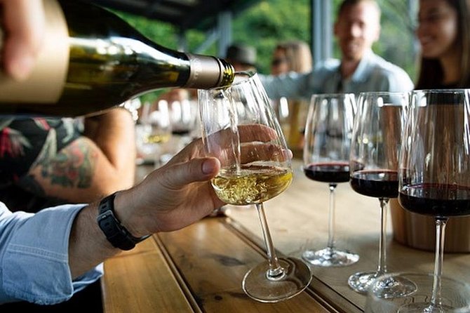 Private 5.5 Hour Winery Tour of Niagara Region  - Niagara Falls & Around - Good To Know