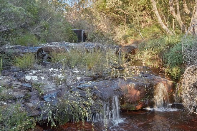 Private 5-Hour Kayaking Tour With Gourmet Lunch, Nepean Gorge - Sydney