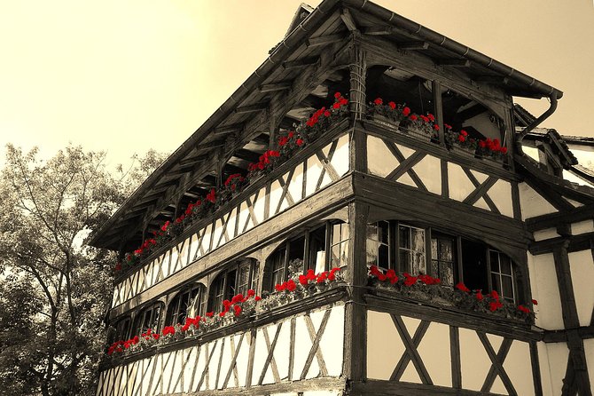 Private Airport Transfer: Alsace Region Airports to Colmar - Good To Know