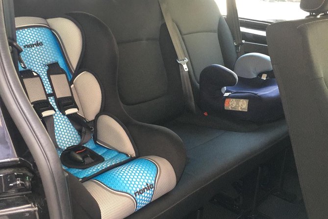 Private Airport Transfer in Lyon From Sain-Exupéry Airport (Lys) to City - Good To Know