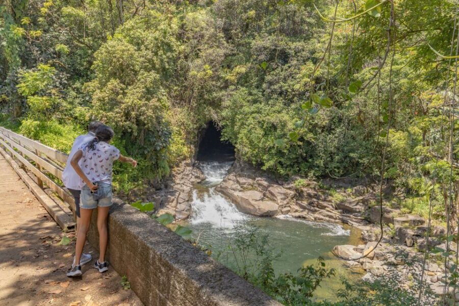 Private - All Inclusive Big Island Waterfalls Tour - Good To Know