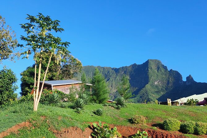 Private and Guided Visit to Mystery House Raiatea - Good To Know