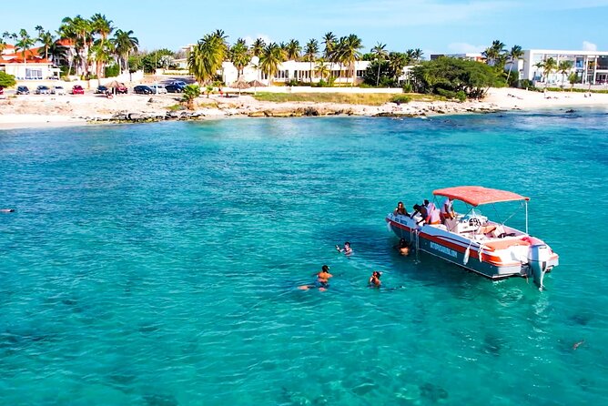 Private Aruba Snorkeling Trip - Customer Reviews