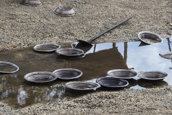 Private Ballarat and Sovereign Hill Tour From Melbourne - Good To Know
