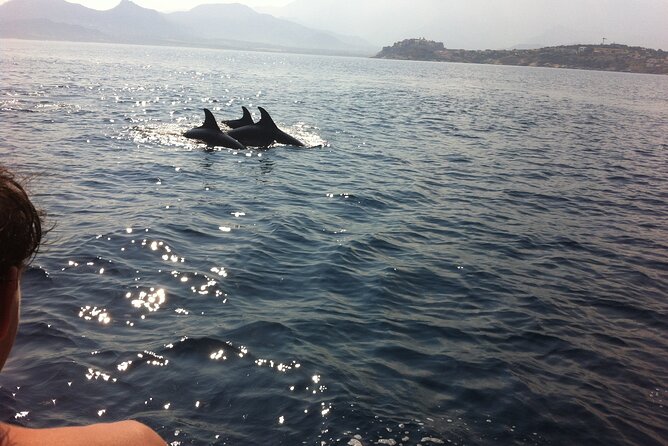 Private Baptism in the Bay of Calvi - Good To Know