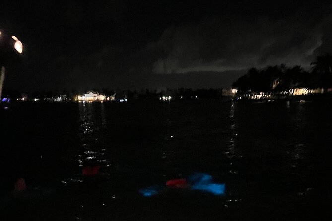 Private: Bioluminescence Tour - 6 Guests