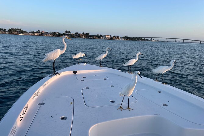 Private Boat Offering Dolphin Watching, Island Excursions and Nature Tours - Exploring Picturesque Waters