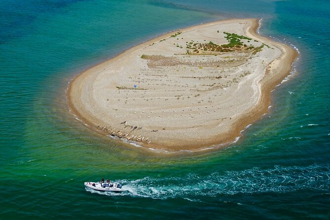 Private Boat Sightseeing Tour Along the North Norfolk Coast