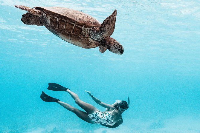 Private Boat Tour of Moorea Lagoon
