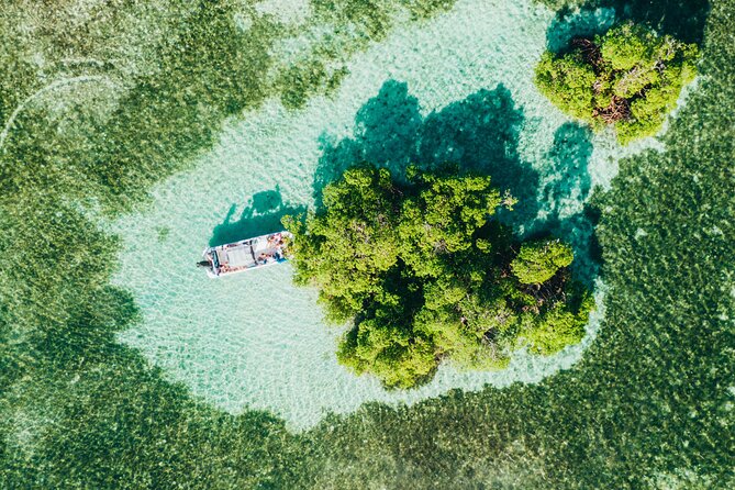 Private Boat Trip With Guide on the Most Beautiful Lagoon of Guadeloupe