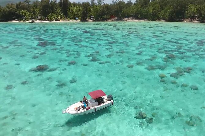 Private Bora Bora Lagoon & Water Lunch Experience