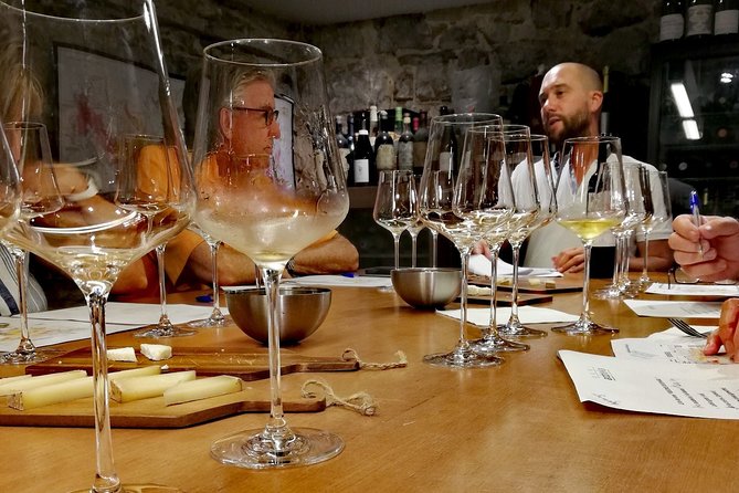 Private Bordeaux Wine Tasting Tour From San Sebastián  – San Sebastian