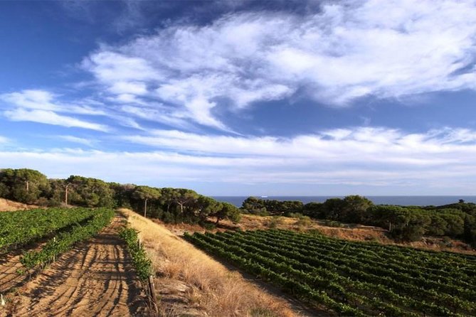 Private Breakfast Winery Experience - Private Wine Tasting Tour - Good To Know