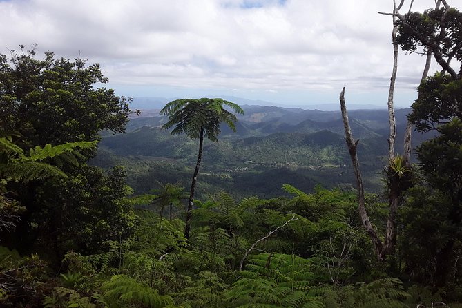 Private Breathtaking Mnt Victoria Day Trek - Good To Know