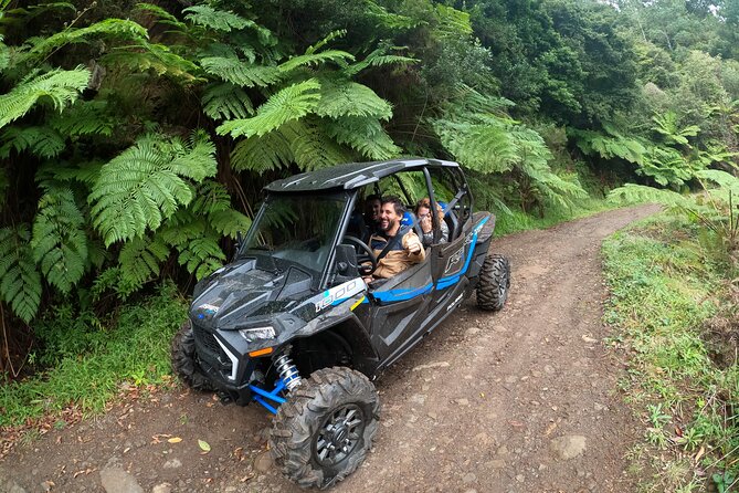Private Buggy Off-Road Tour - Tour Description