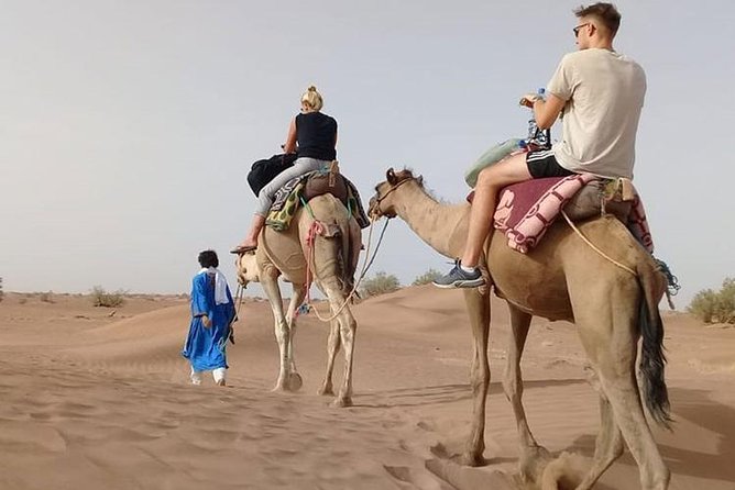 Private - Camel Trekking in Dubai With Morning Dune Bashing and Sand Boarding - Good To Know