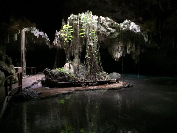 Private Cenote Tour From Playa Del Carmen - Good To Know