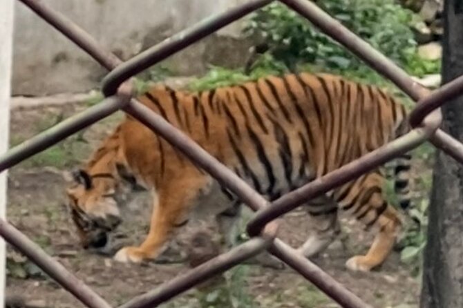 Private Central Zoo Tour in Kathmandu - Good To Know