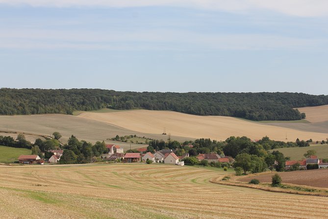 Private Champagne Half Day Tour - 3 Family Vineyard Tastings Stops - Good To Know
