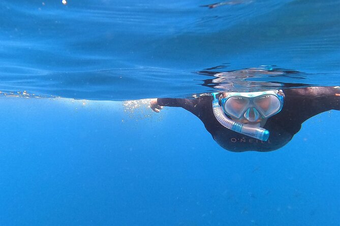 Private Charter 5 Hour Snorkel and Paddleboard the Poor Knights - 1 to 12 People - Good To Know