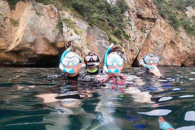 Private Charter 8 Hour Snorkel and Paddleboard the Poor Knights - 1 to 12 People - Good To Know