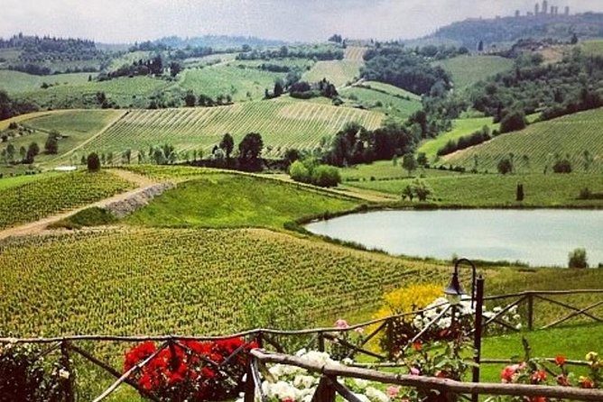 Private Chianti Classico Tour With Wine and Food Tasting in a Historic Estate