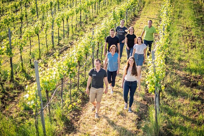 Private Chianti Tour and Wine Tasting - Good To Know