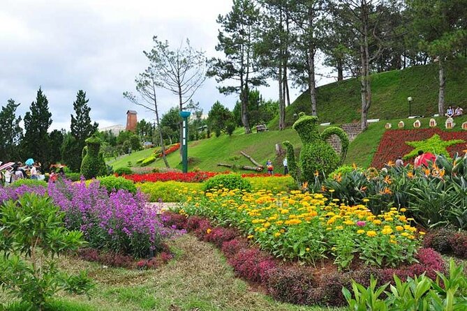 Private City Tour in Dalat